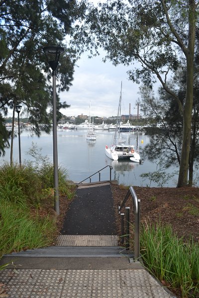 glebepoint 029.JPG - Blackwattle Bay through the trees